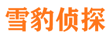 夏河捉小三公司